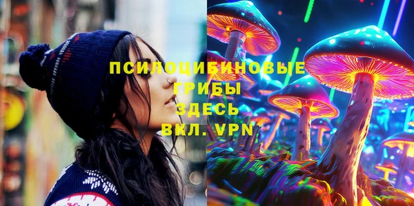 стафф Беломорск