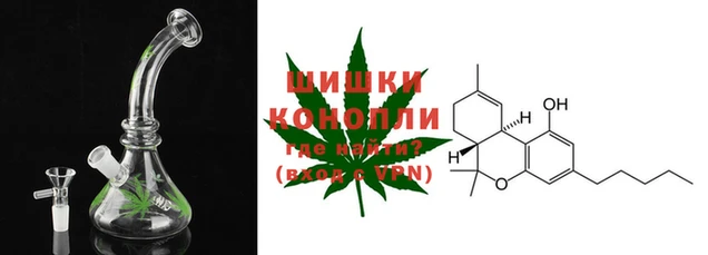 ешки Белокуриха