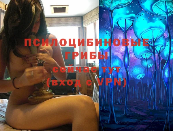 ешки Белокуриха
